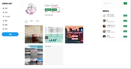 Social Network Platform interface